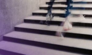 SnapDragon - Rapid Response for Online Brand Protection