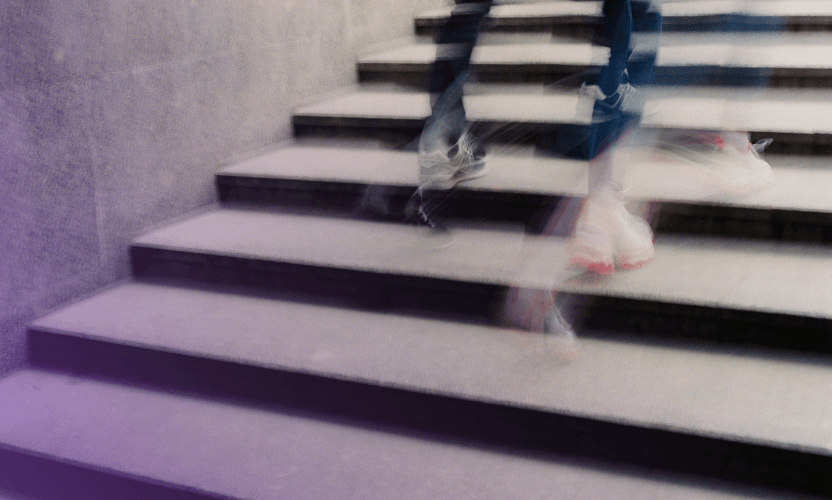 SnapDragon - Rapid Response for Online Brand Protection