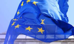 EU Design Reforms - SnapDragon