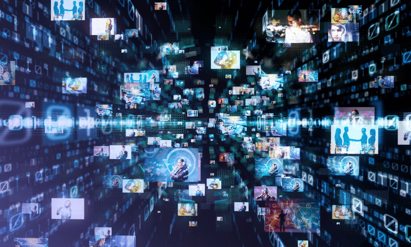 SnapDragon Advanced Brand Protection Software