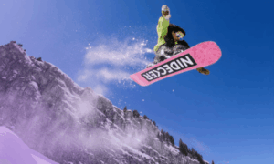 SnapDragon - Nidecker Interview - Online Brand Protection