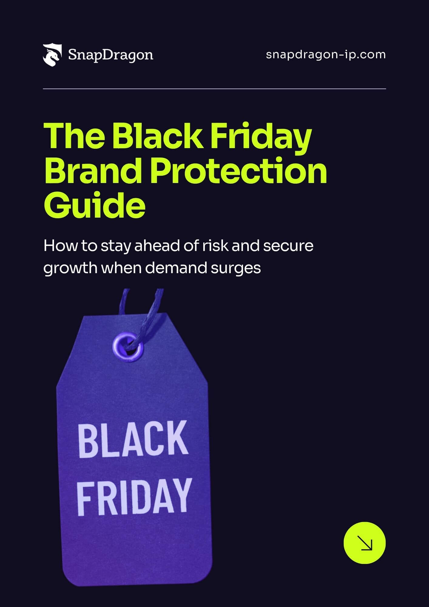 Black Friday Brand Protection Guide Cover