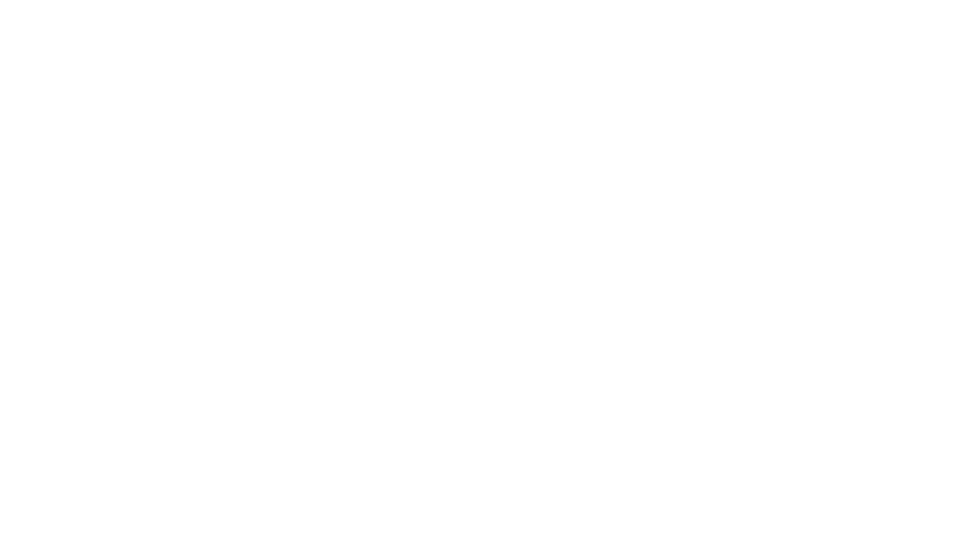 SnapDragon - Client Logos - Nidecker Group