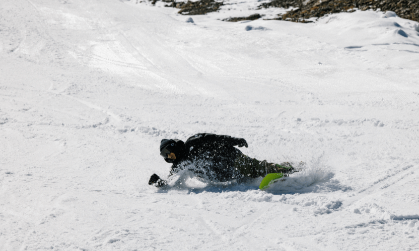 SnapDragon - Nidecker Case Study - Online Brand Protection