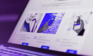 SnapDragon - Fake Ads - Online Brand Protection (1)