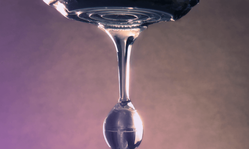 SnapDragon - Why you should care about Dupes and Counterfeits