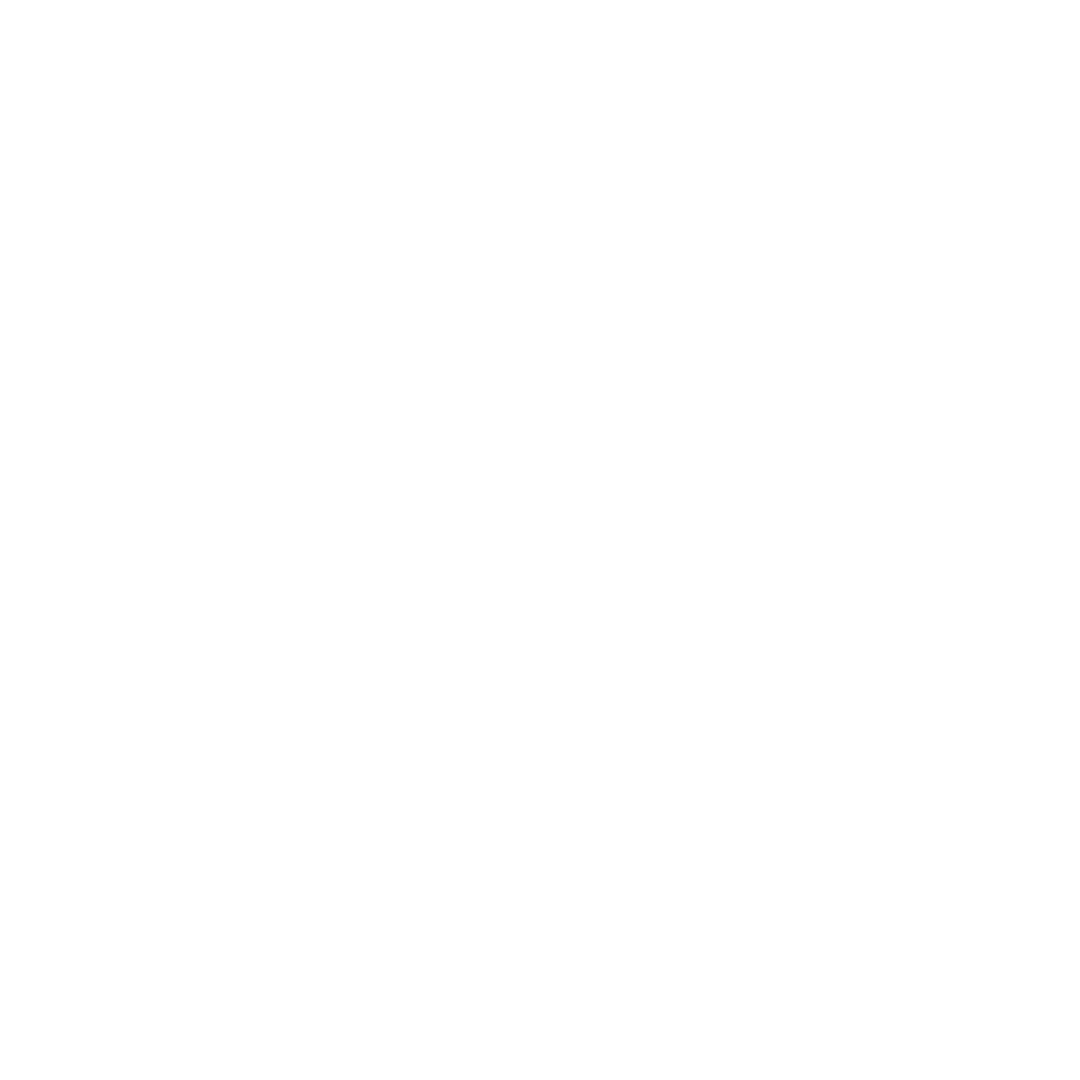 SnapDragon - SlimmingWorld - Transparent Client Logo