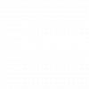 SnapDragon - TFL - Transparent Client Logo